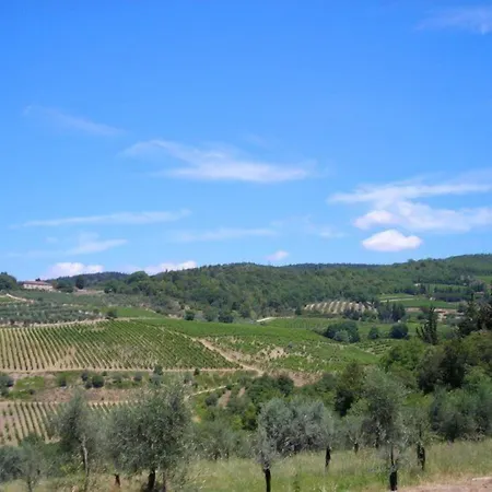 Oda ve Kahvaltı Cristina Castellina in Chianti